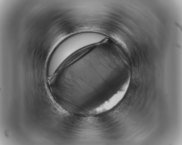 X0000096410992200802141537