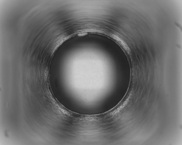 X0000096410993200802141537