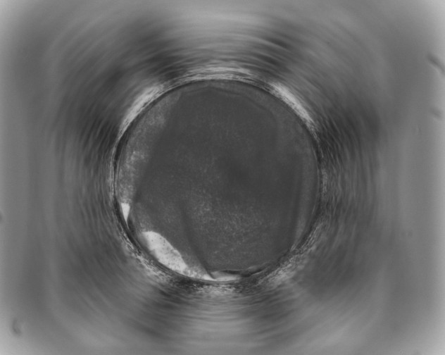 X0000096410994200802141537