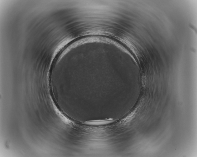 X0000096410995200802141537