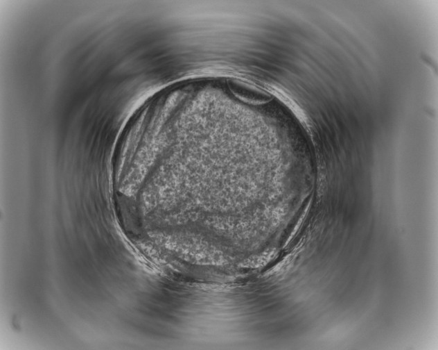 X0000096410996200802141537