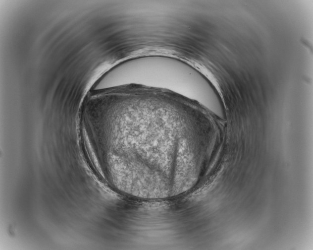 X0000096410997200802141537