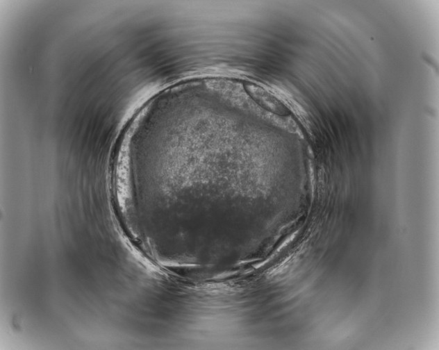 X0000096410998200802141537