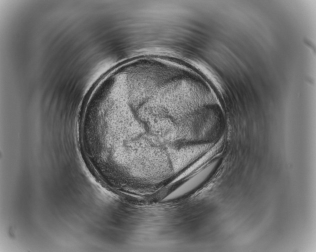 X0000096410999200802141537