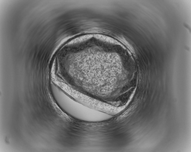 X0000096411000200802141537