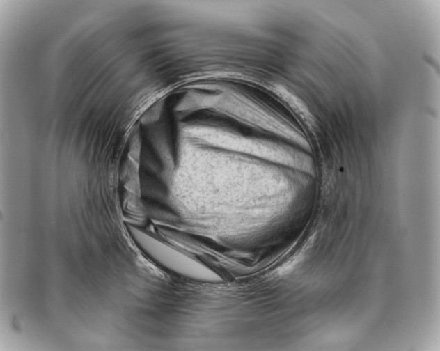 X0000096411001200802141537