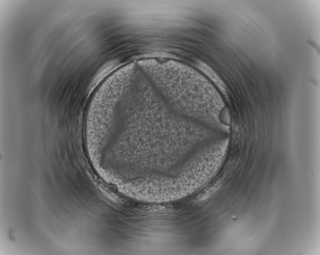 X0000096411002200802141537