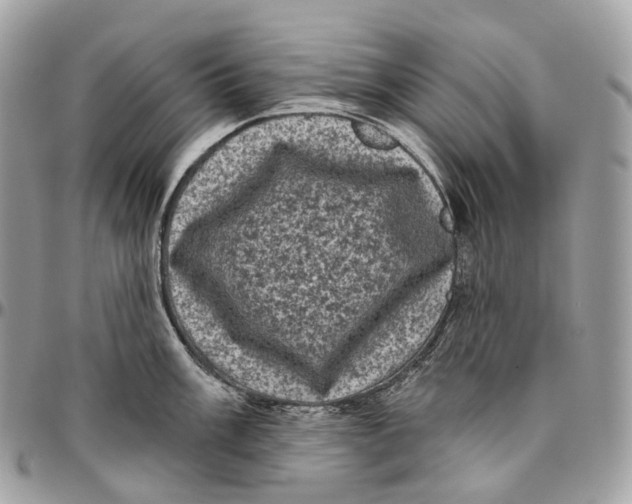 X0000096411003200802141537