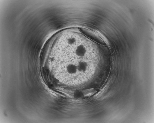 X0000096411004200802141537