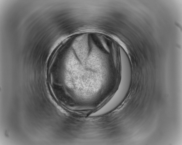 X0000096411005200802141537