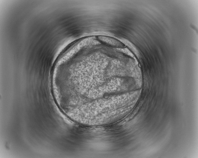 X0000096411006200802141536