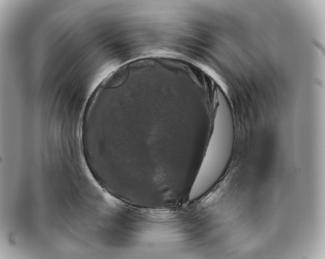 X0000096411007200802141536