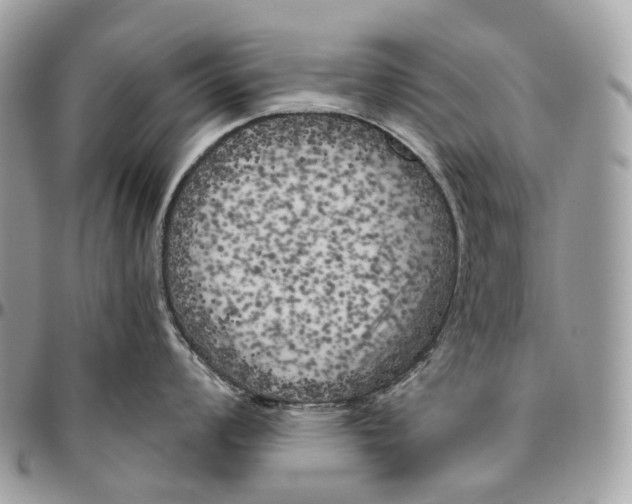 X0000096411008200802141536