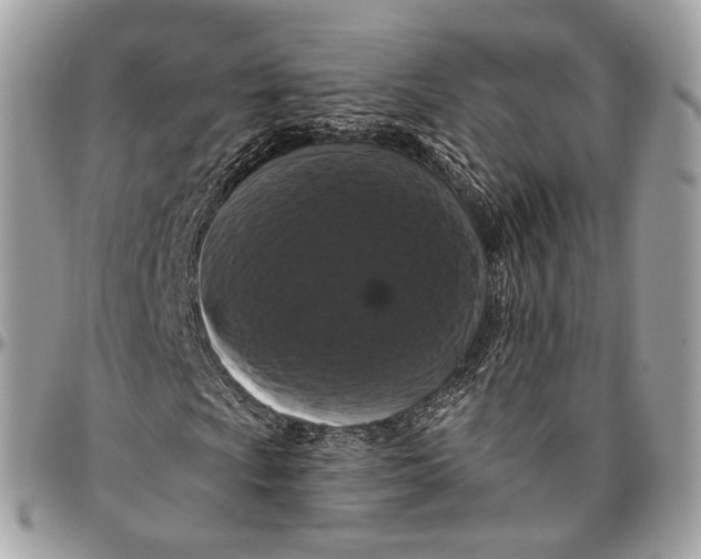 X0000096411009200802141536