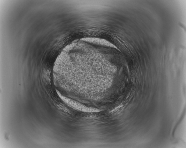 X0000096411010200802141536