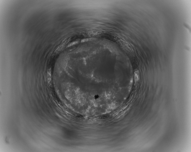 X0000096411011200802141536