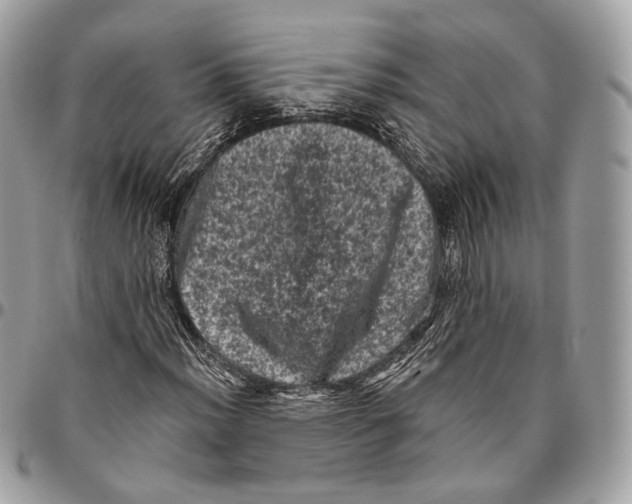 X0000096411012200802141536