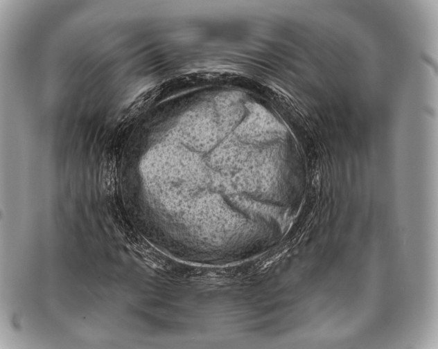 X0000096411014200802141536