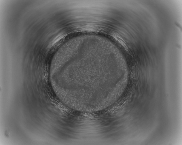 X0000096411015200802141536