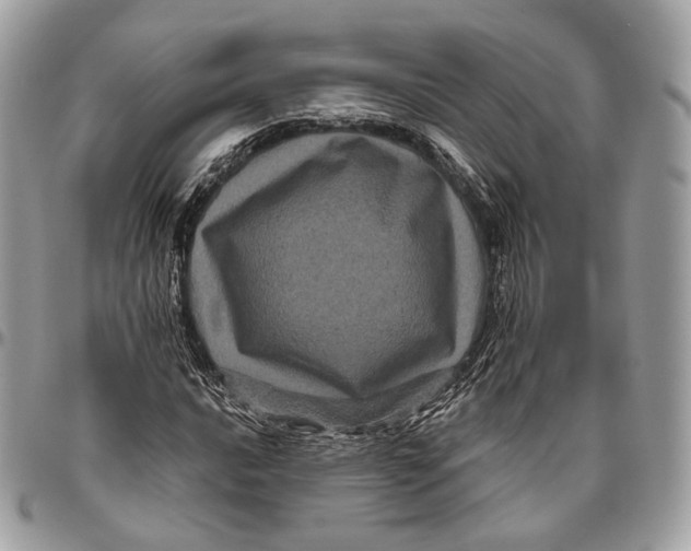 X0000096411016200802141536