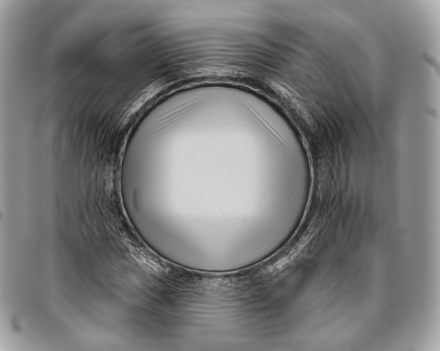 X0000096411017200802141536