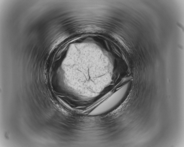 X0000096411018200802141536