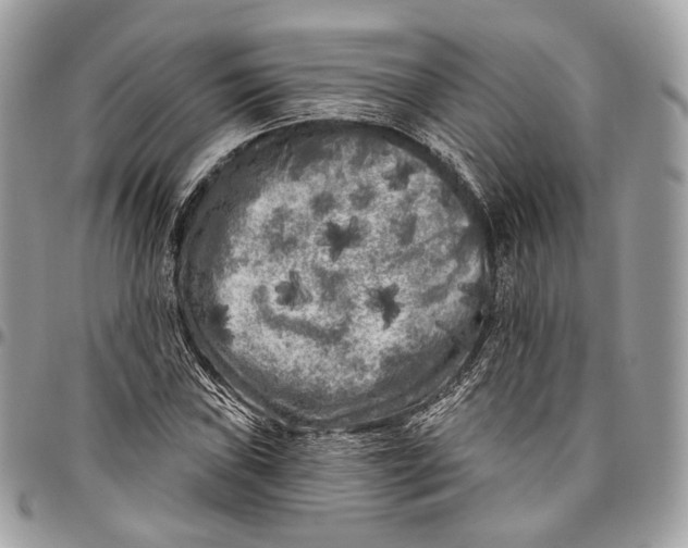 X0000096411019200802141536