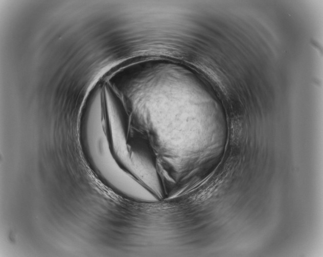 X0000096411020200802141536