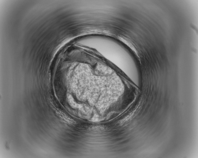 X0000096411021200802141536