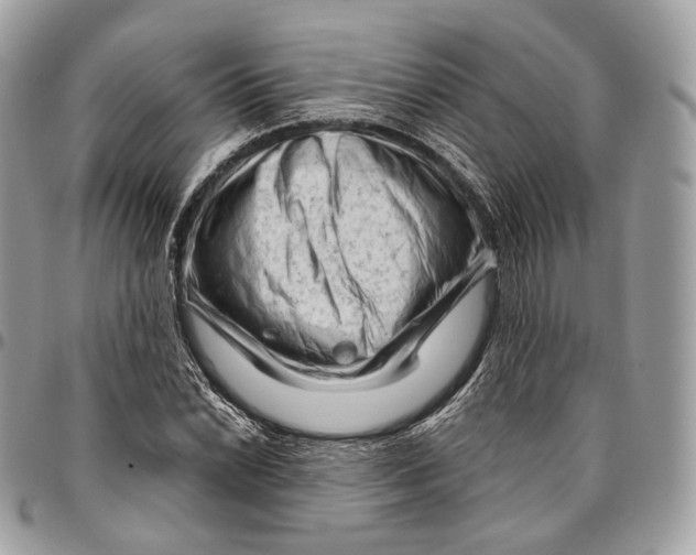 X0000096411022200802141536