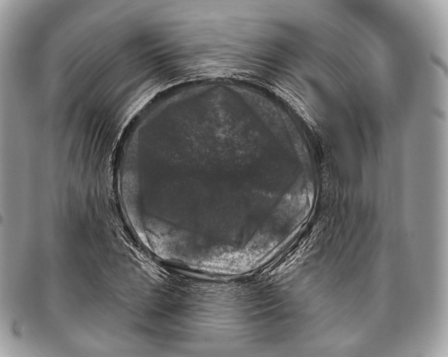 X0000096411023200802141536