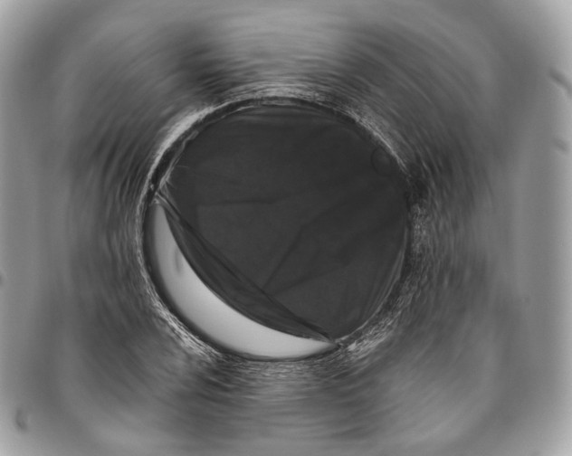 X0000096411024200802141536