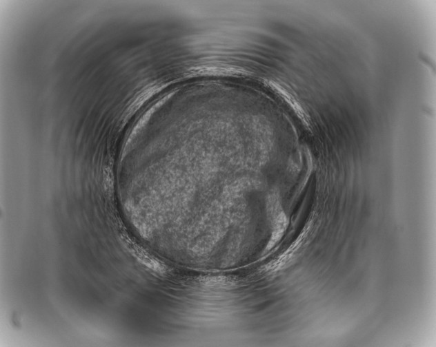 X0000096411025200802141536