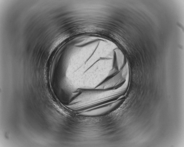 X0000096411026200802141536