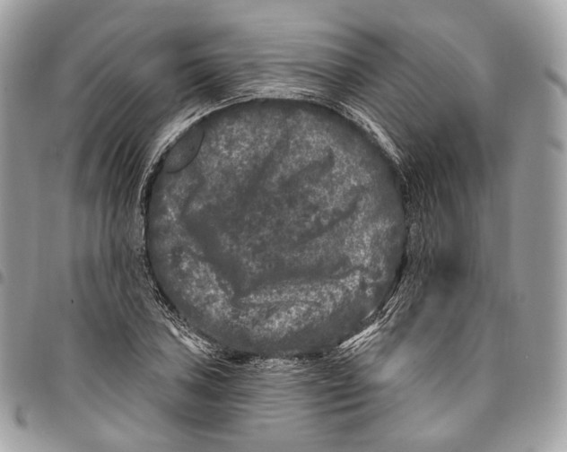 X0000096411027200802141536