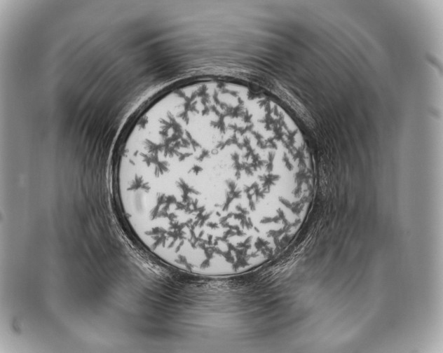 X0000096411028200802141536