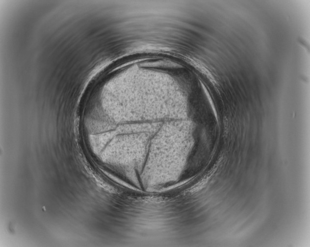 X0000096411029200802141536