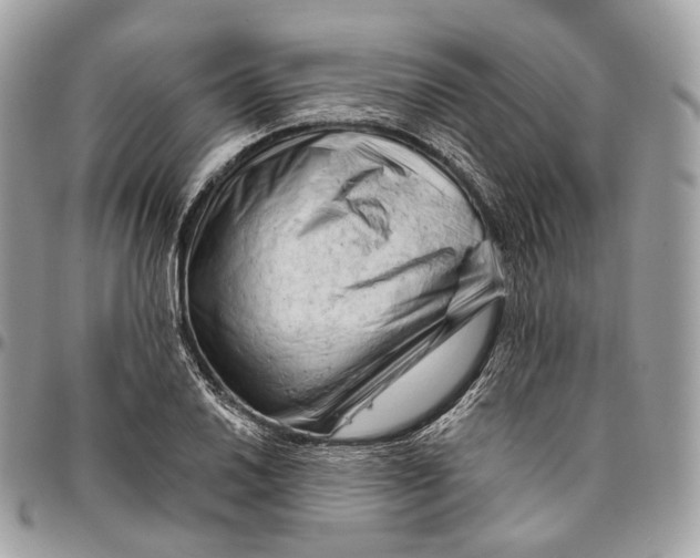 X0000096411030200802141536