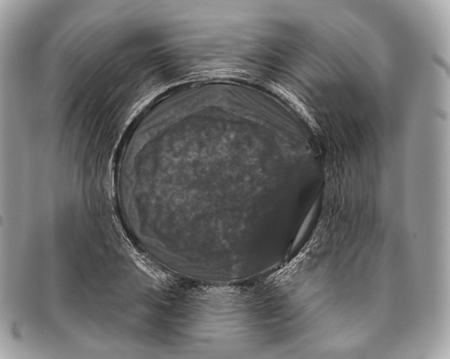 X0000096411031200802141536