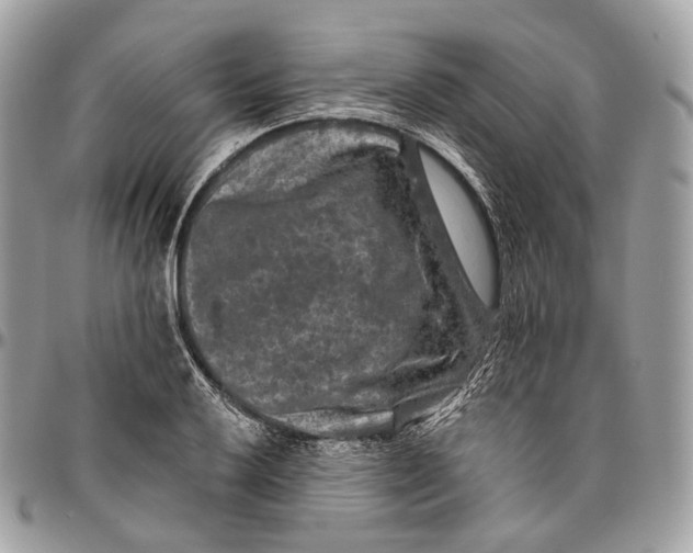 X0000096411032200802141536