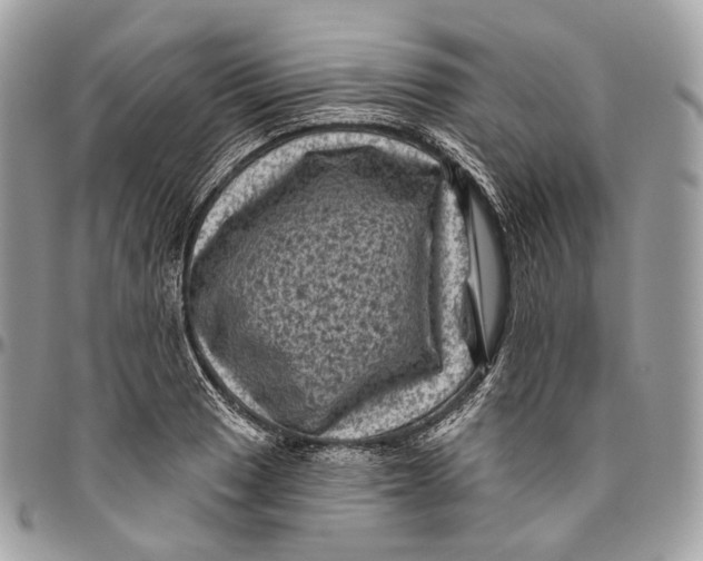 X0000096411033200802141536