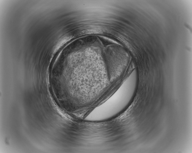 X0000096411034200802141536