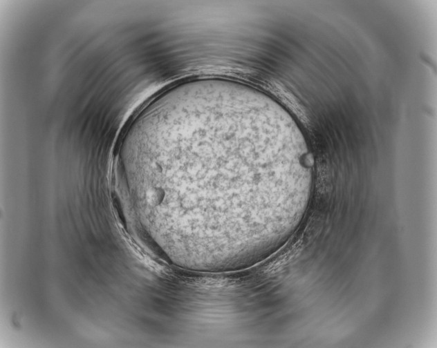 X0000096411036200802141536