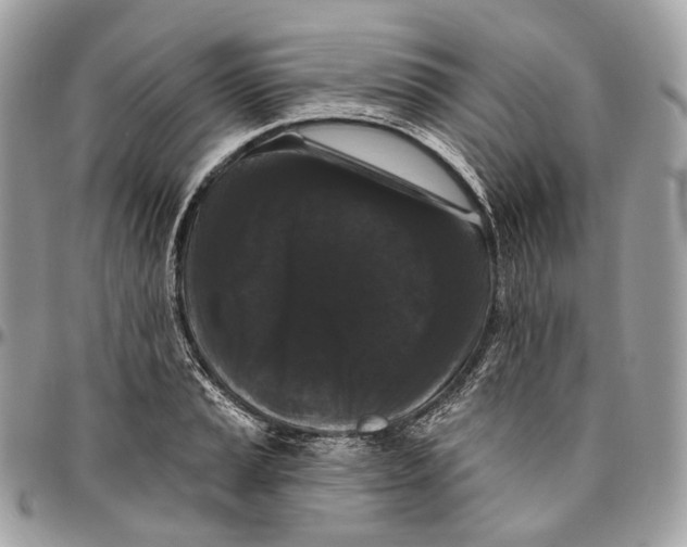 X0000096411037200802141536