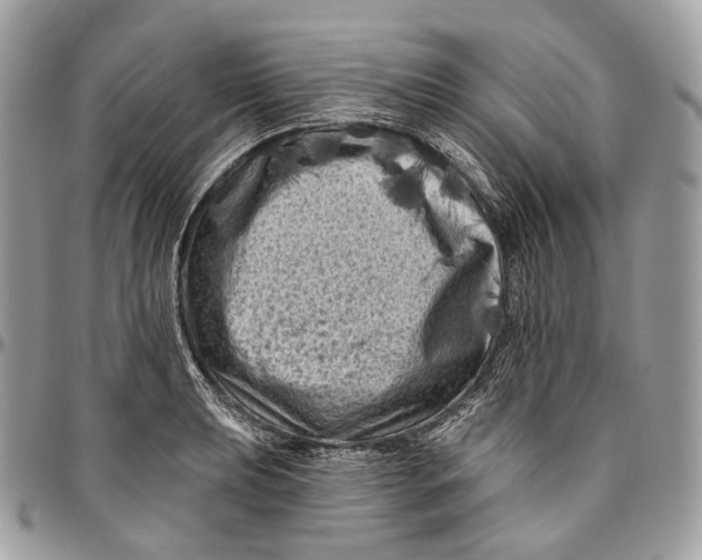 X0000096411039200802141536