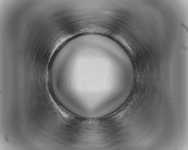 X0000096411040200802141536