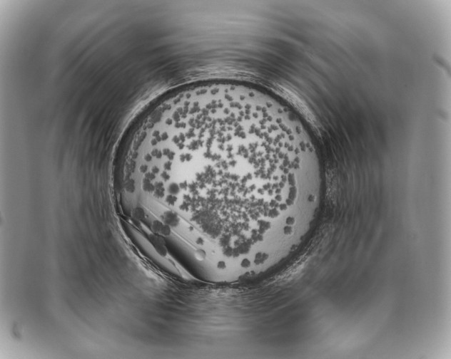 X0000096411043200802141536