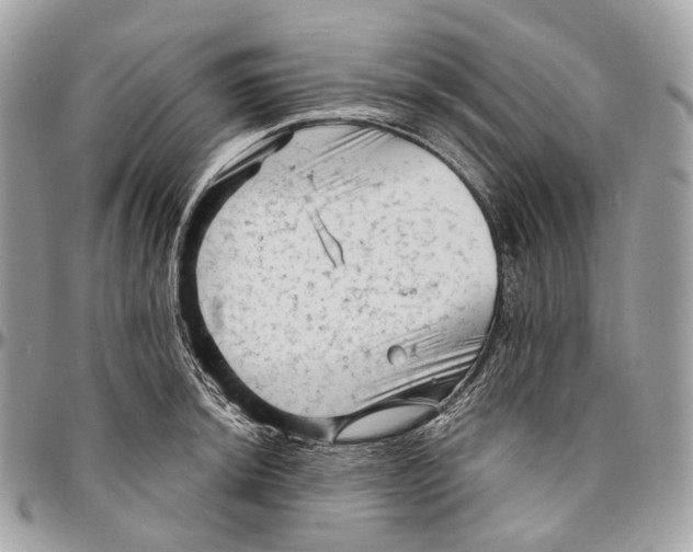 X0000096411044200802141536