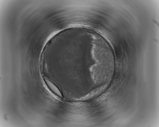 X0000096411045200802141536