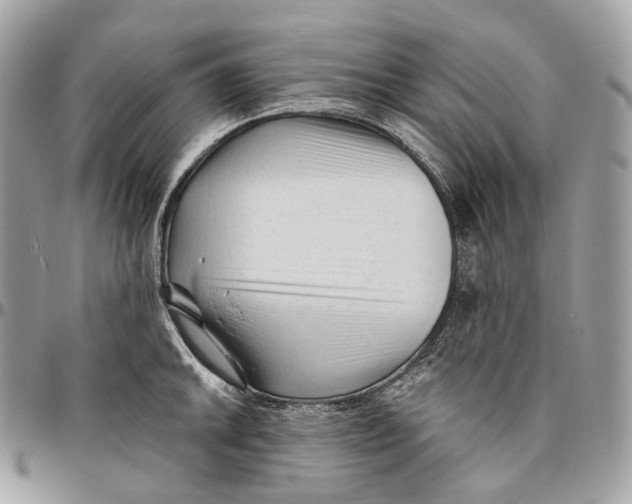 X0000096411046200802141536